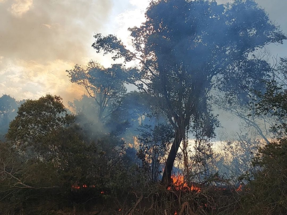 BID Pantanal vai injetar R$ 30 mi para prevenção de incêndios 1 WhatsApp Image 2023 10 24 at 4.36.10 PM 1