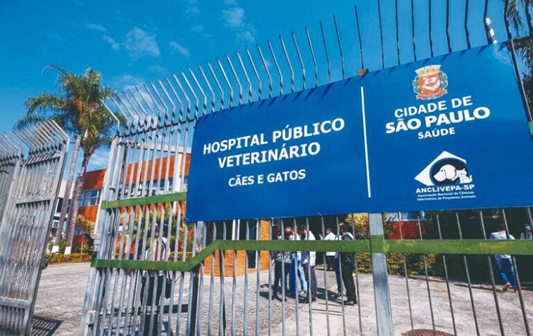 Saiba como funcionam os quatro hospitais veterinários públicos da capital