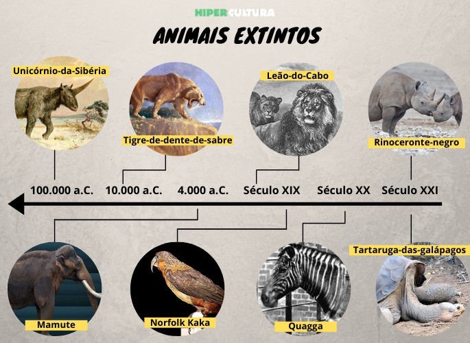 Projetos de desextinção: é possível trazer animais de volta?