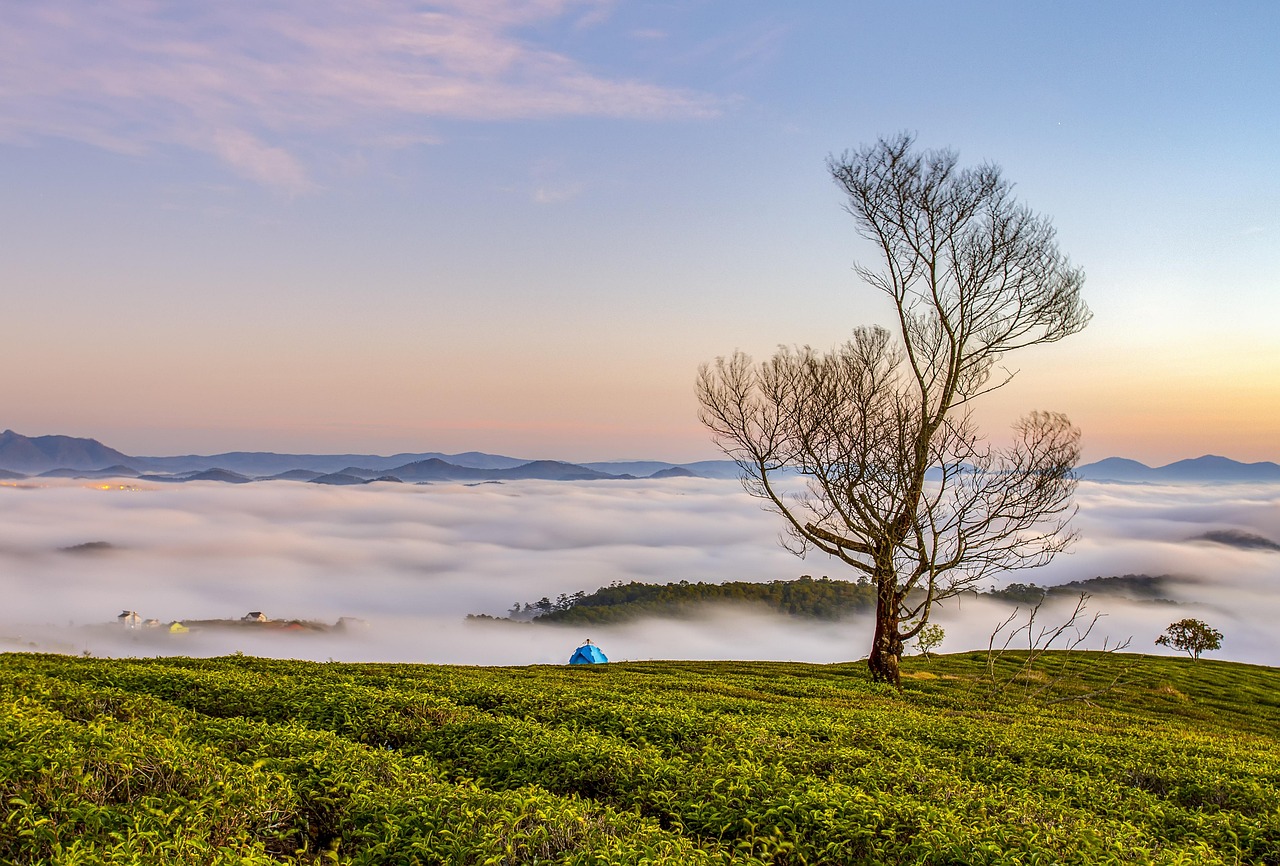 Descobrindo as Dunas e Lagoas dos Lençóis Maranhenses