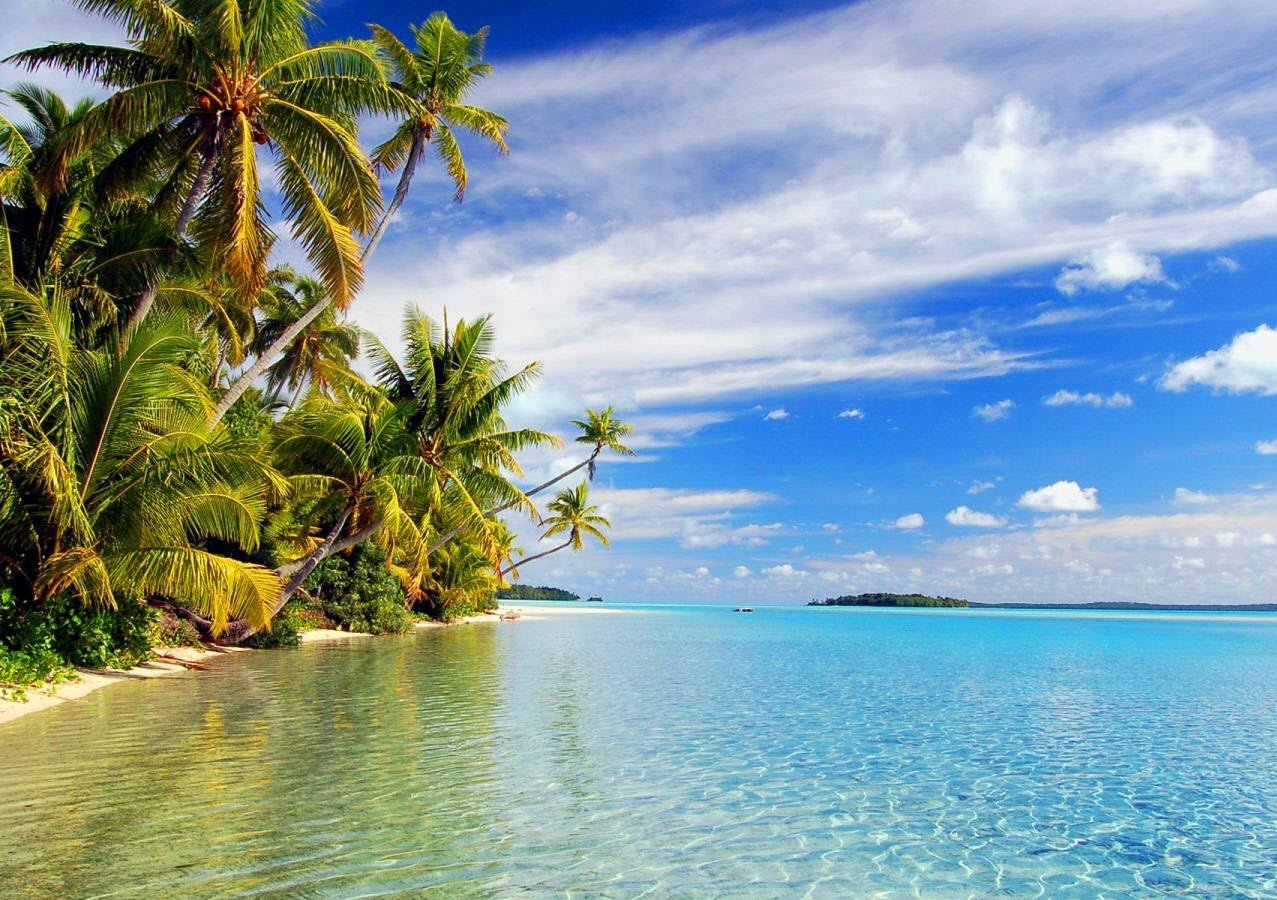 As Dunas Douradas do Saara - inspiração 1