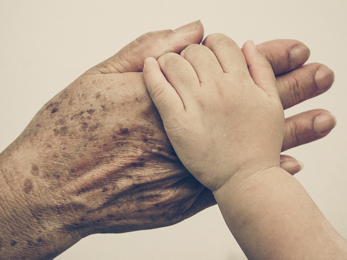 Avós que Cuidam dos Netos