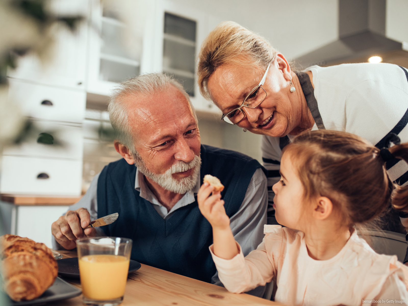 Entenda a Guarda Avoenga: Direitos e Deveres