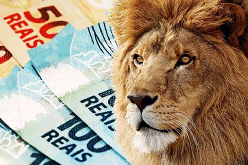 Declarando o Valor Original vs. Valor Atual: Qual a Diferença? - inspiração 2