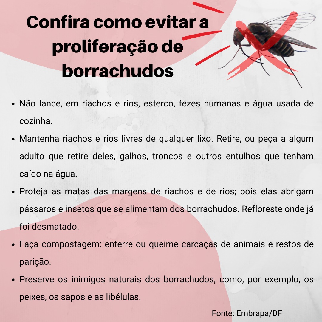 Identificando os Borrachudos: Conheça Seu Inimigo - inspiração 1
