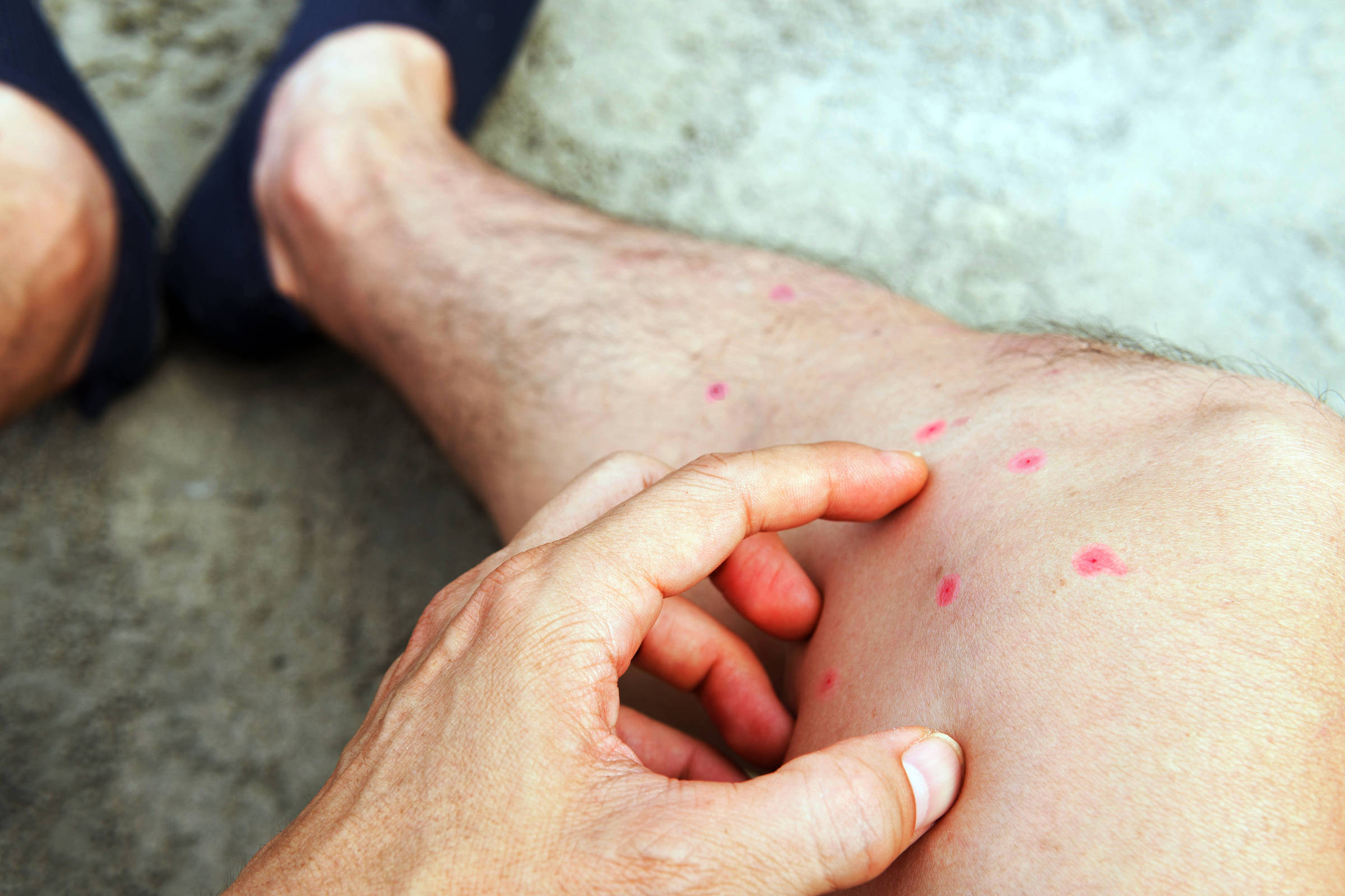 Atenção Especial para Áreas de Risco: Turismo e Lazer - inspiração 1