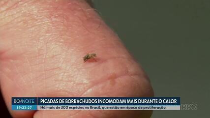 Remédios Caseiros para Alívio Rápido e Natural - inspiração 1