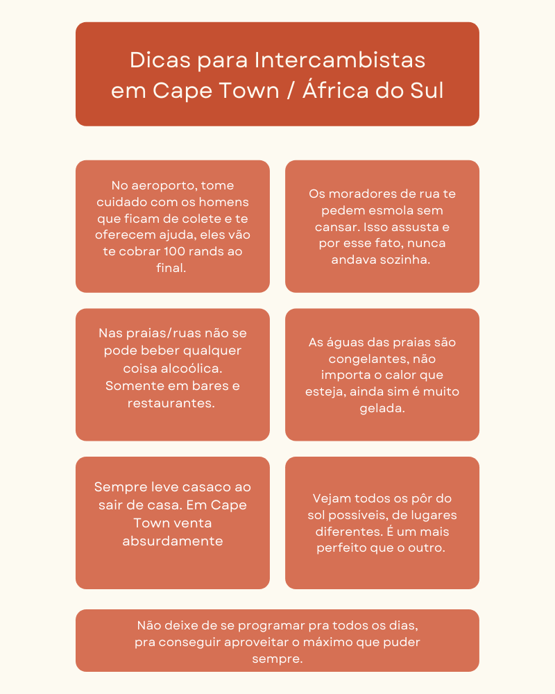 Visto e Documentação: O Que Você Precisa Saber para Entrar na África do Sul - inspiração 2