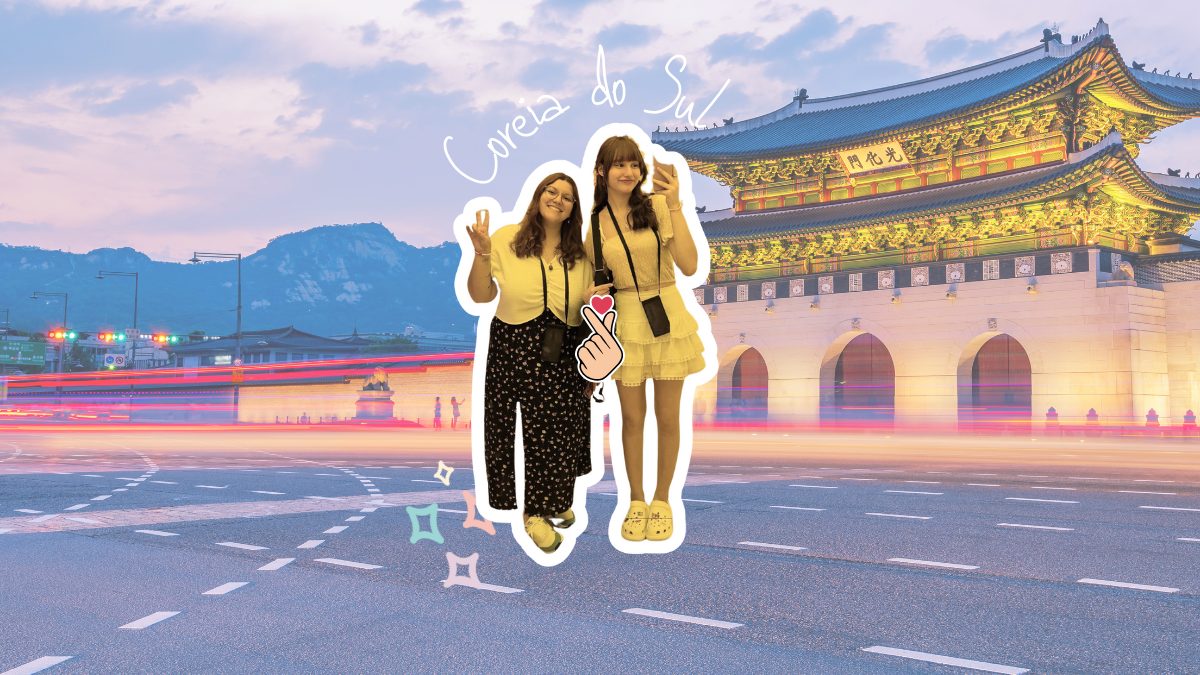 Passo a Passo: Da Decisão à Embarcação - inspiração 2