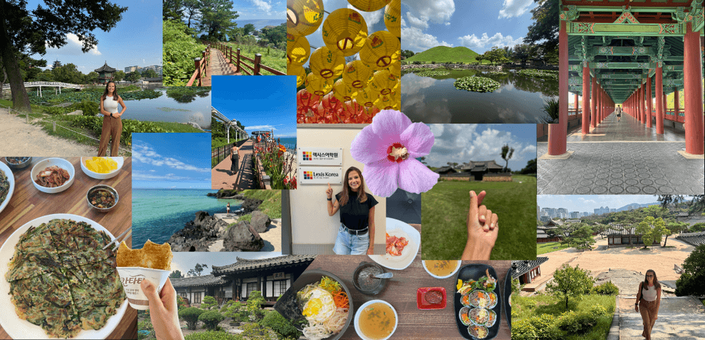 Adaptando-se ao Novo Lar: Dicas de Saúde e Bem-Estar - inspiração 2