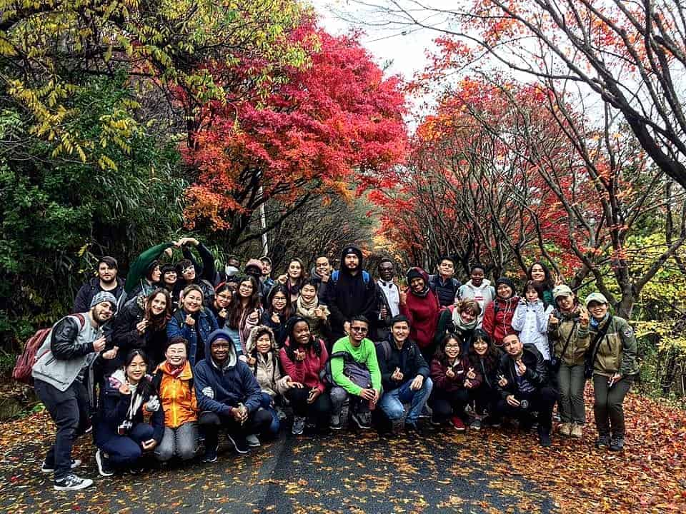 Moradia na Coreia: Opções e Dicas de Ouro - inspiração 2