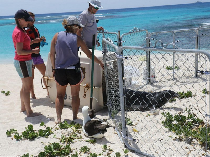 Estruturando o Plano de Ação: Metas Claras e Realizáveis - inspiração 2