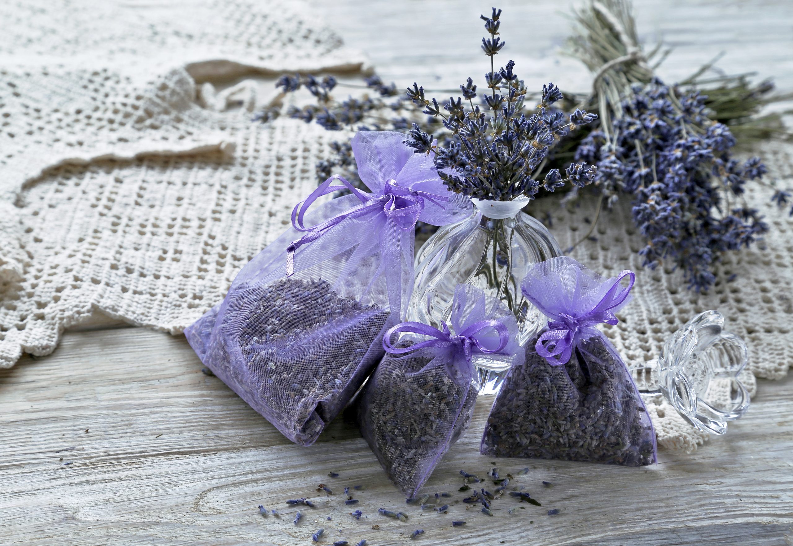 Como prevenir o mofo em roupas