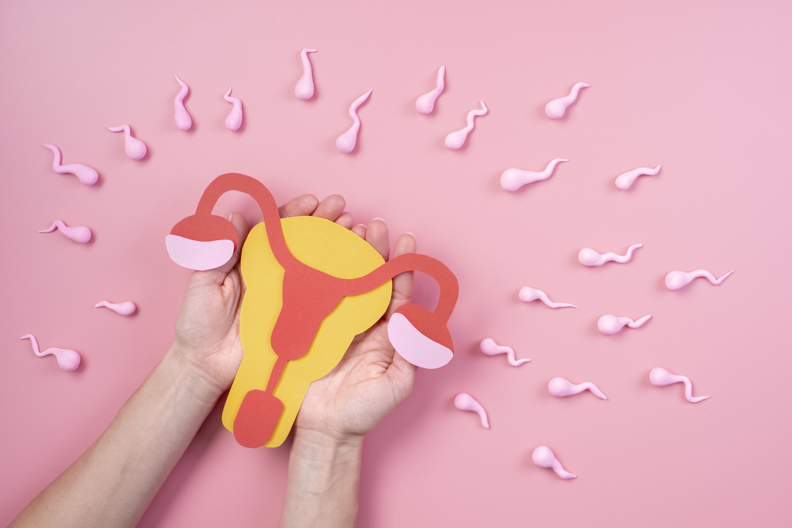 O Papel da Família na Educação Sexual - inspiração 1