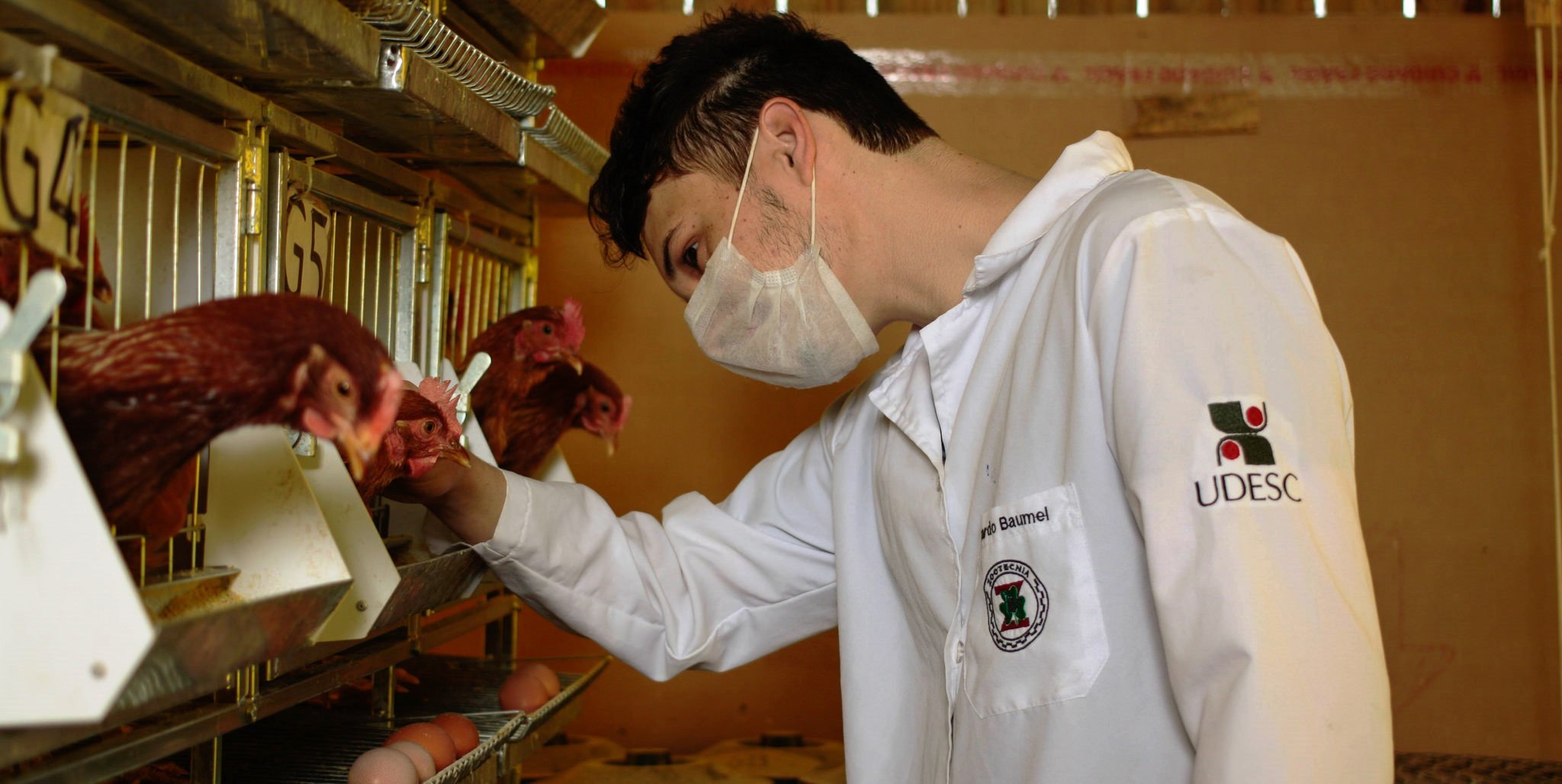 O papel do zootecnista na indústria de ração