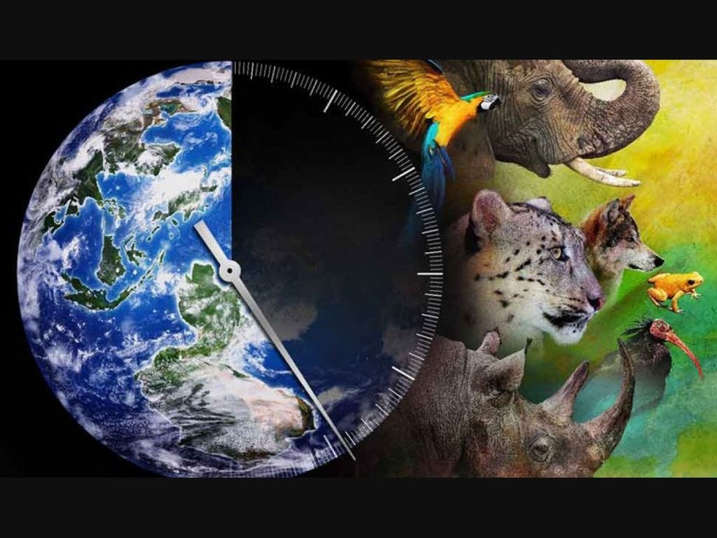 Animais do Cerrado em Risco: O que o Avanço Agrícola Significa?