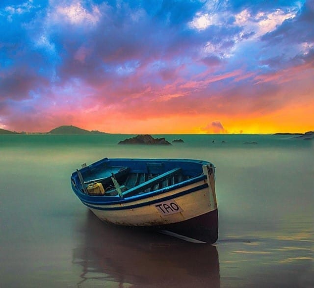 Florestas Encantadas Repletas De Vida - inspiração 2