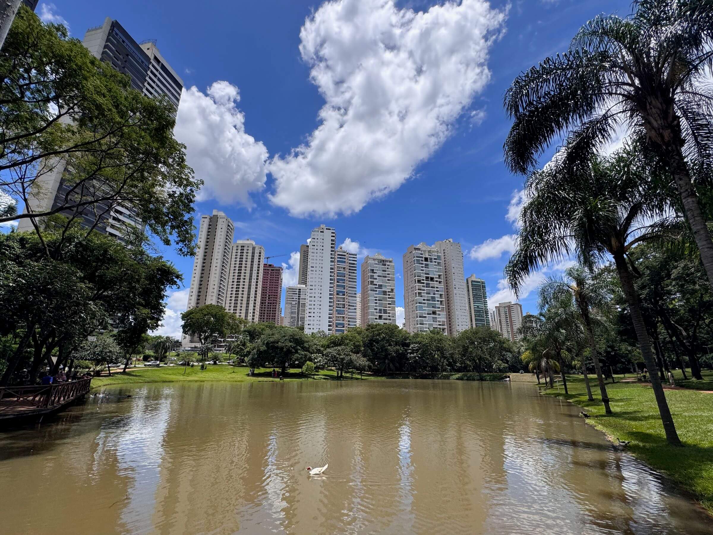 Centro Cultural Oscar Niemeyer: Arte e Arquitetura que Inspiram - inspiração 2