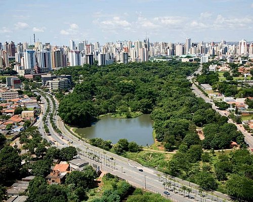 Mercado Central: Um Mergulho na Cultura e nos Produtos Locais - inspiração 2