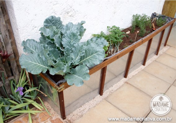 A Rega Estratégica: Umidade na Medida Certa para o Sucesso - inspiração 2