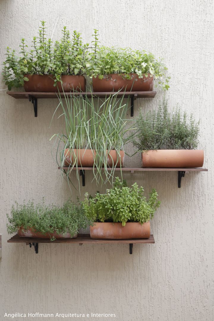 Adubação Consciente: Alimentando suas Plantas Sem Complicações - inspiração 2