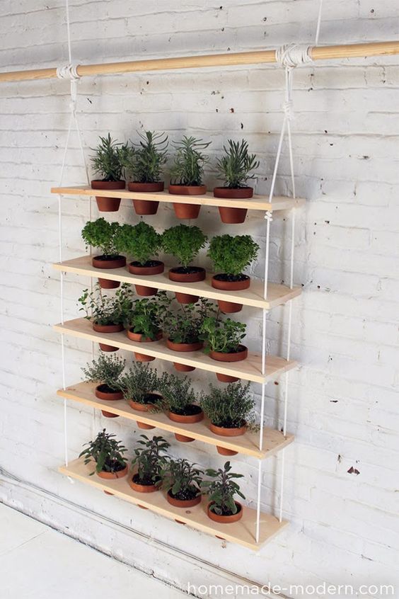 Controle de Pragas e Doenças: Soluções Naturais e Eficazes - inspiração 2