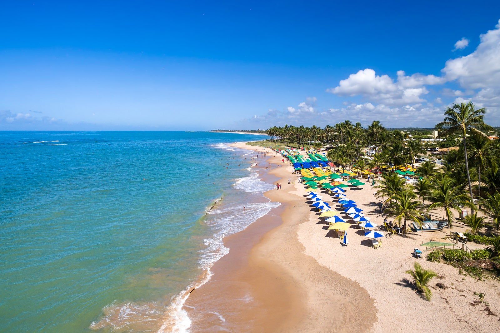 Roteiro Cultural em Ilhéus: Os Passos de Jorge Amado e a História do Cacau