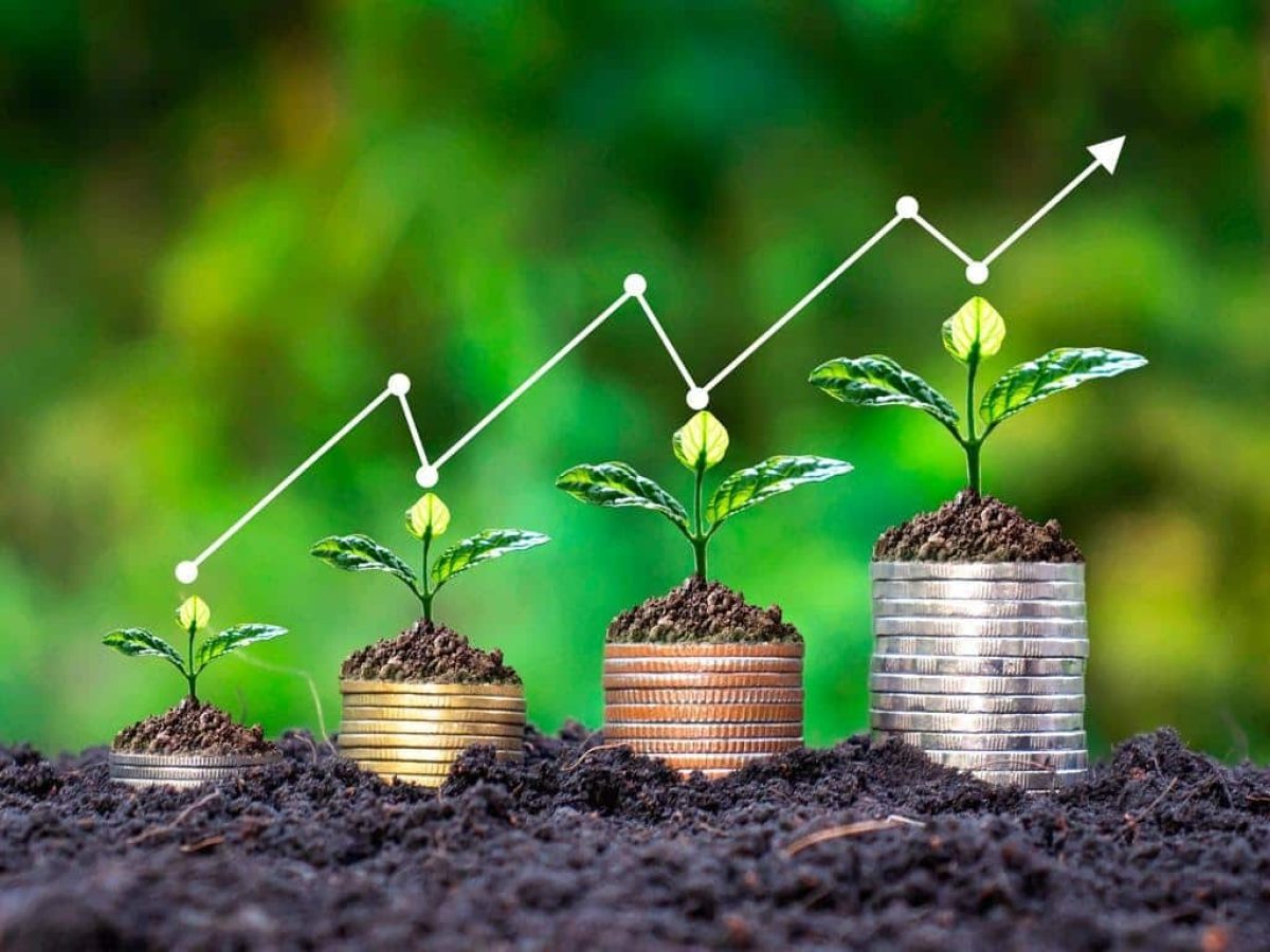 investir em agronegócio