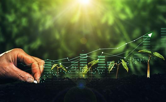 Análise das Melhores Ações do Agronegócio para 2026