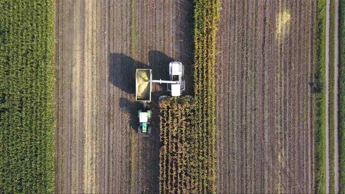 investir em agronegócio