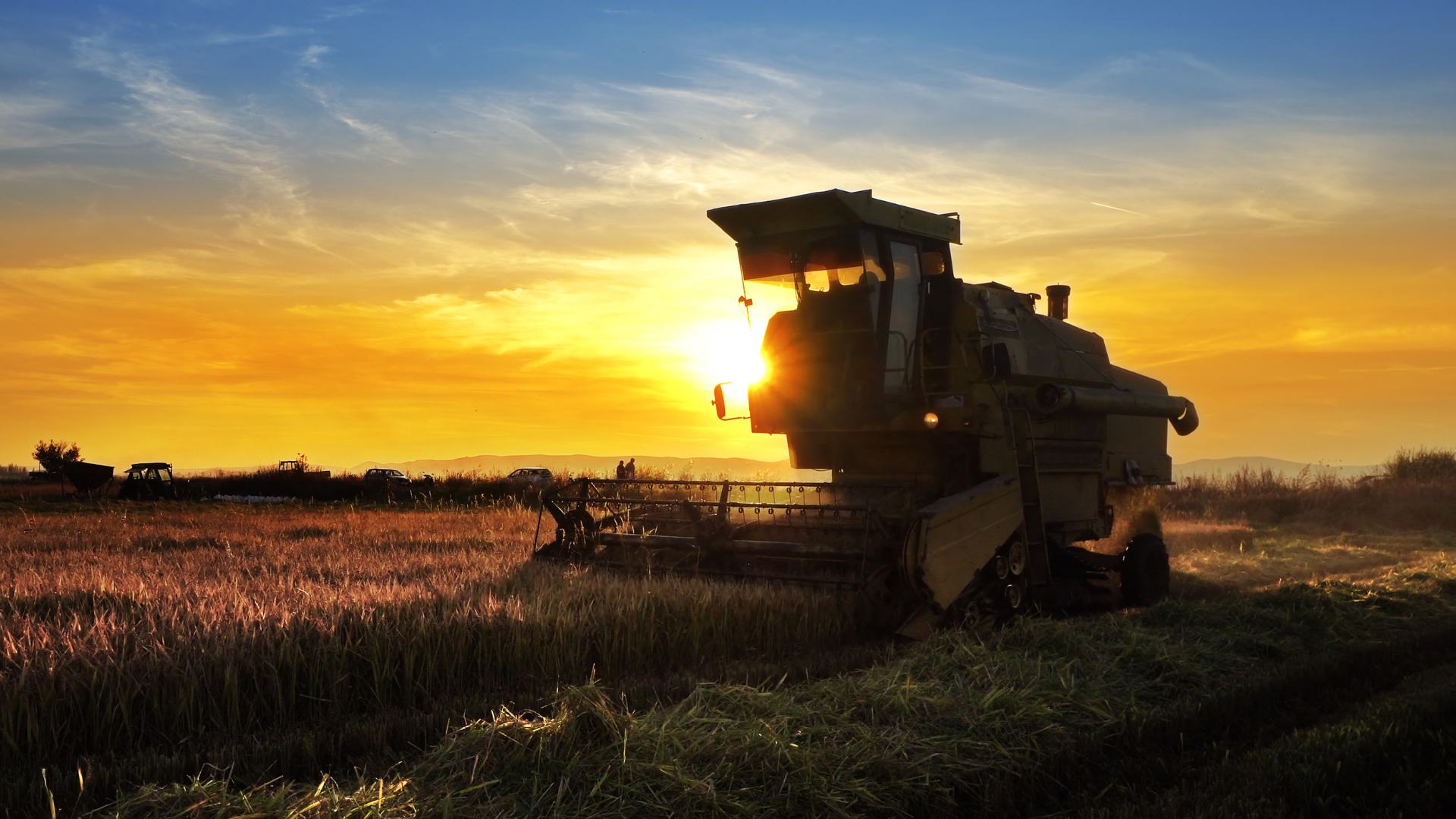 Guia Completo sobre Fiagros: Como Investir e Receber Dividendos Mensais