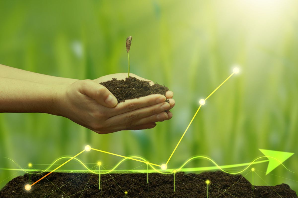 Como a Isenção de IR nos Fiagros Impacta Seus Ganhos