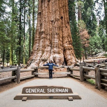 Visitando a Gigante com Respeito: Dicas para uma Experiência Sustentável - inspiração 2