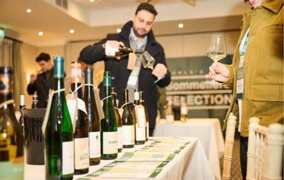 Acessórios Indispensáveis para o Sommelier Profissional