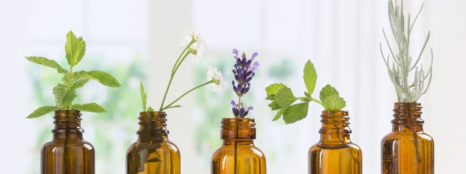 Como Identificar e Tratar Reações Alérgicas a Óleos Essenciais