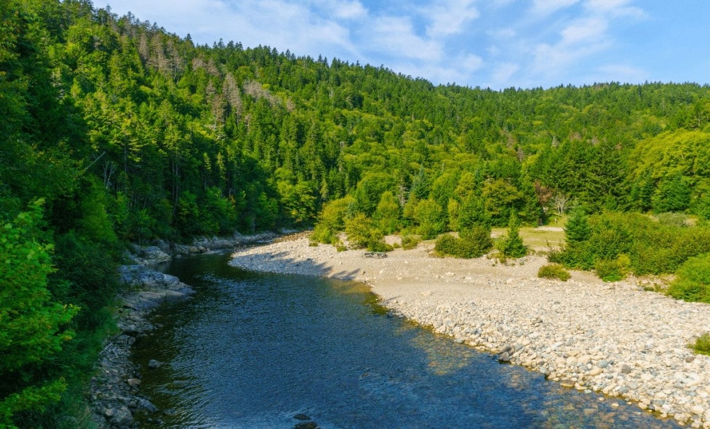 Aspen: Um Ponto de Referência no Turismo de Montanha - inspiração 2