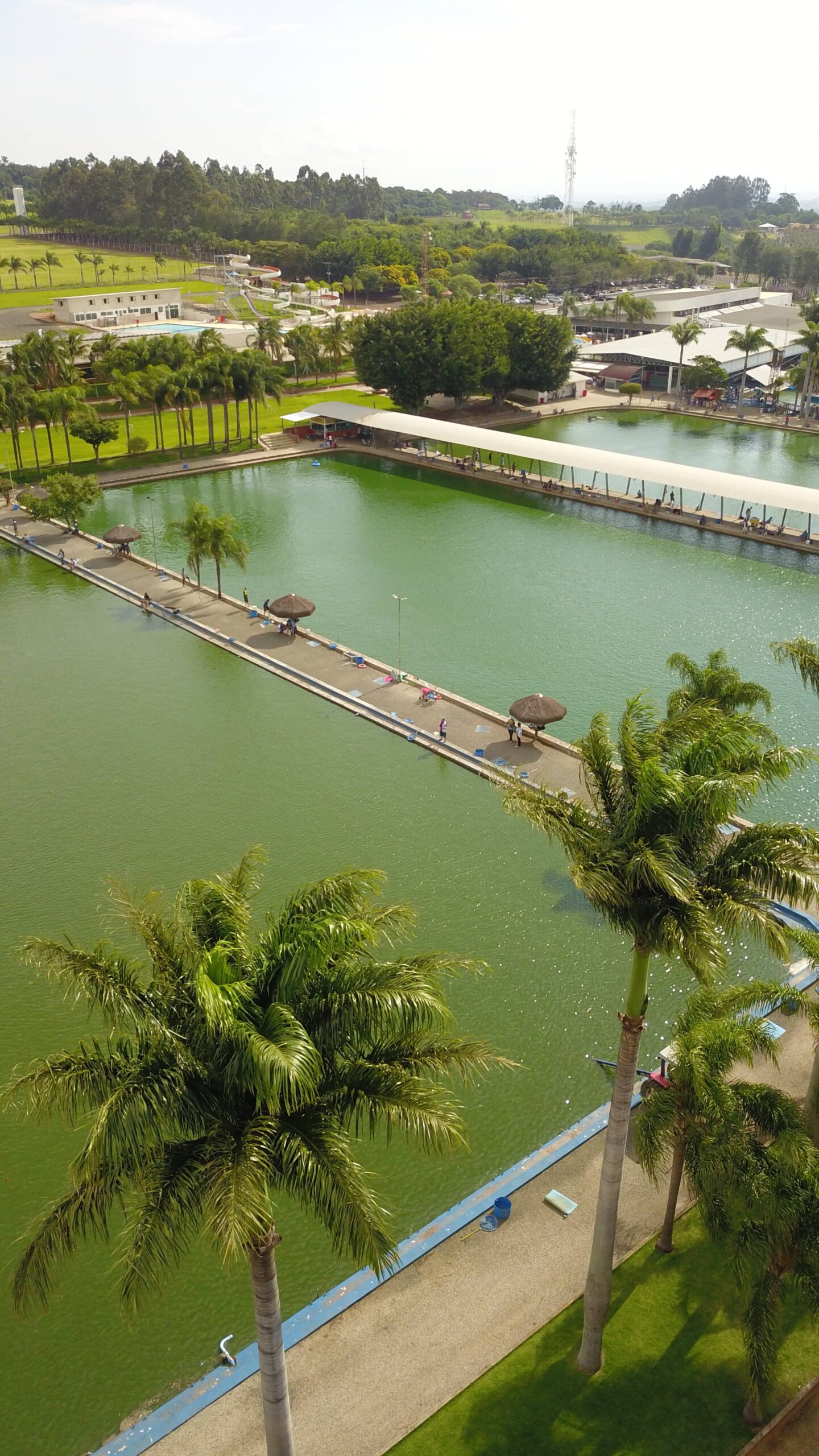 Dicas para Aproveitar ao Máximo seu Dia no Parque Maeda - inspiração 1