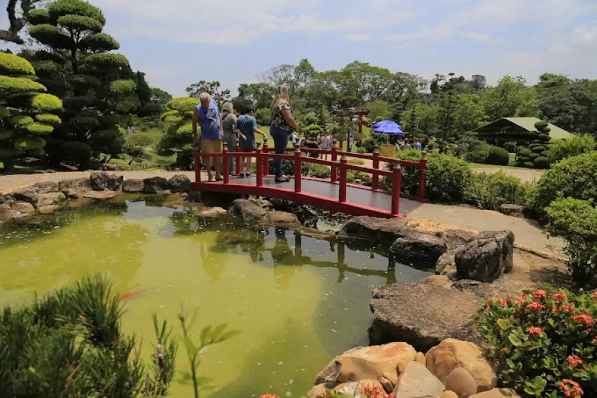Dicas para Aproveitar ao Máximo seu Dia no Parque Maeda - inspiração 2