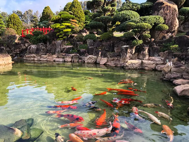 A Trilha dos Sentidos: Conectando-se com a Natureza e a Calma - inspiração 2