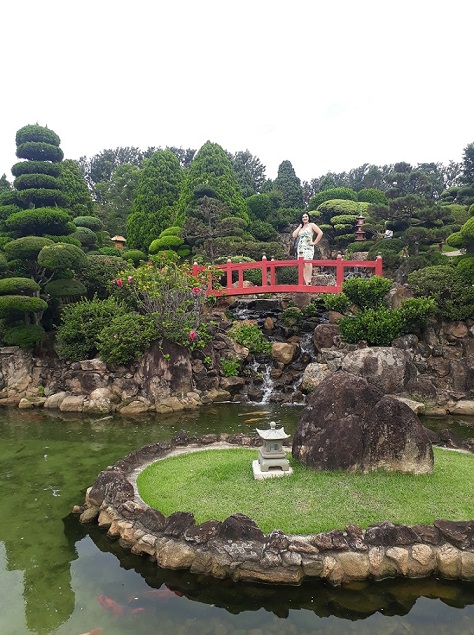 O Bosque dos Bambus: Um Cenário Sereno e Fotogênico - inspiração 1