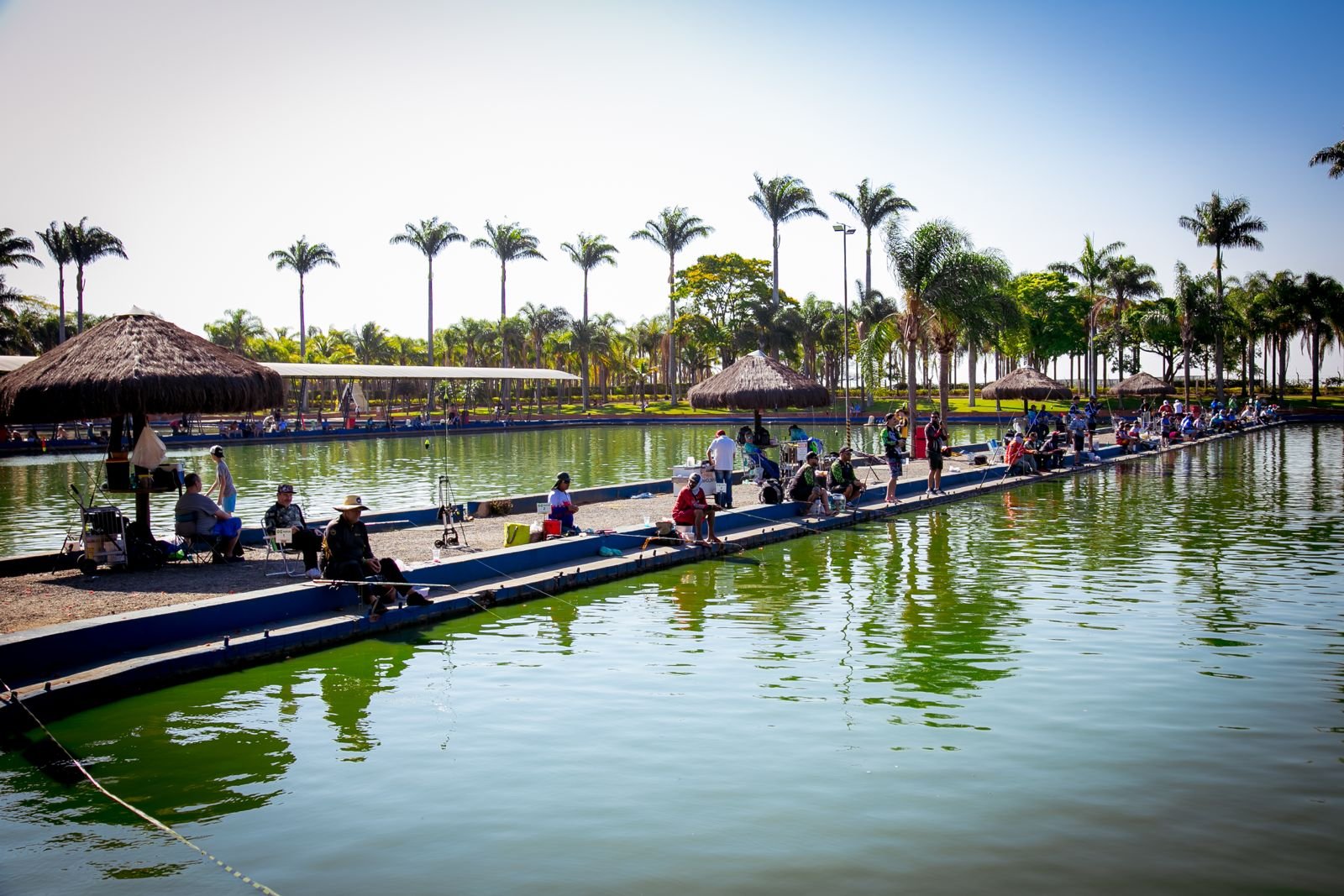 O Bosque dos Bambus: Um Cenário Sereno e Fotogênico - inspiração 2