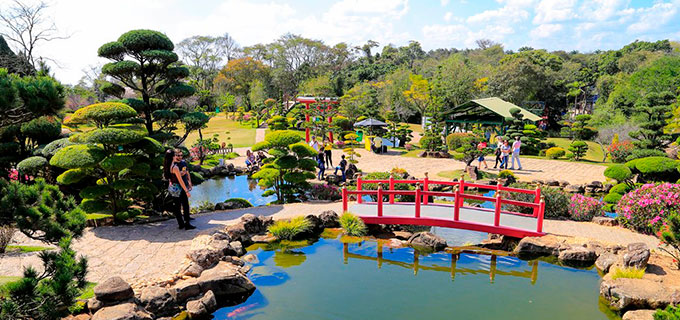 Artesanato e Sabores Locais: A Feirinha e a Gastronomia do Parque - inspiração 1