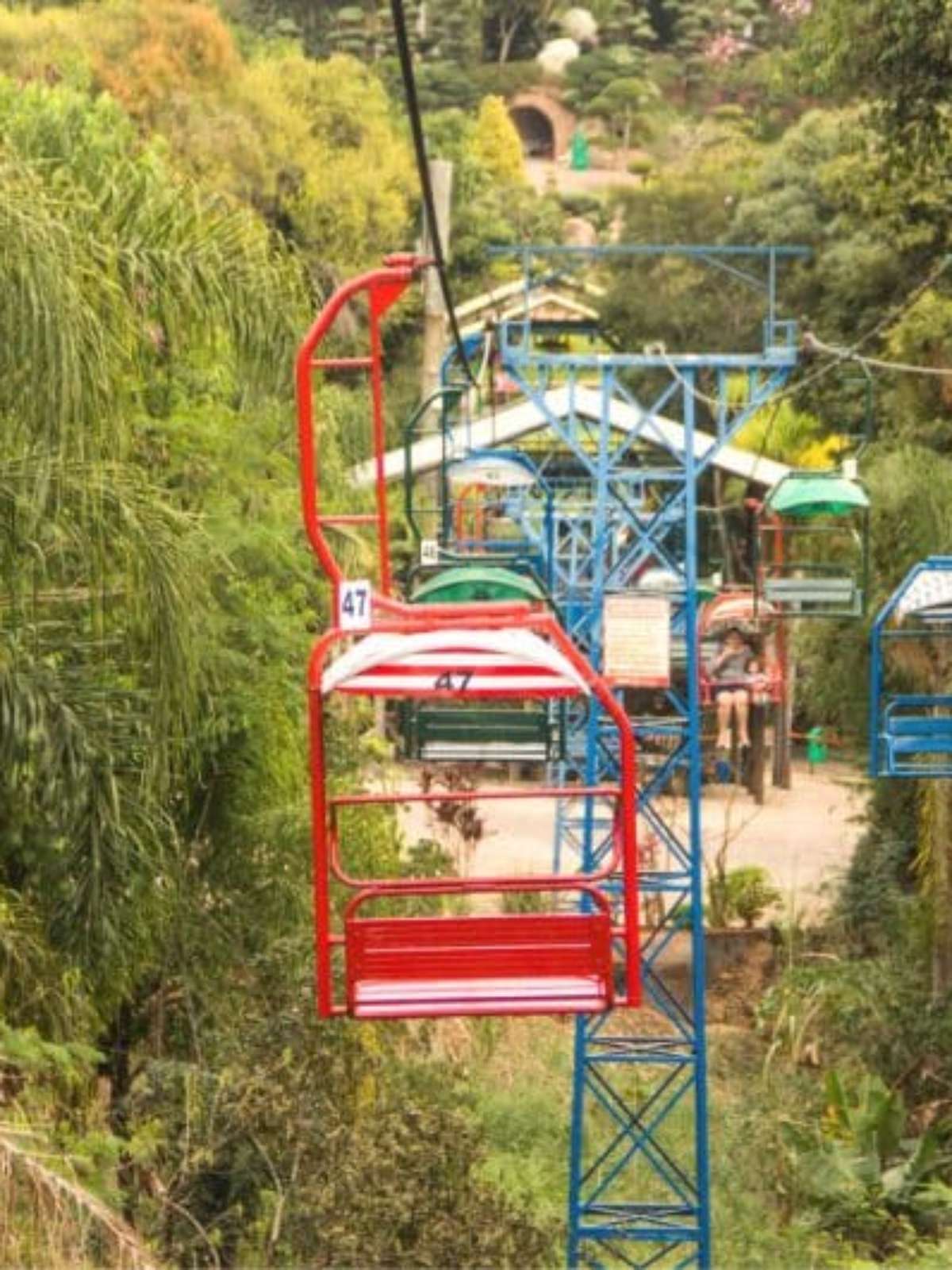 Artesanato e Sabores Locais: A Feirinha e a Gastronomia do Parque - inspiração 2