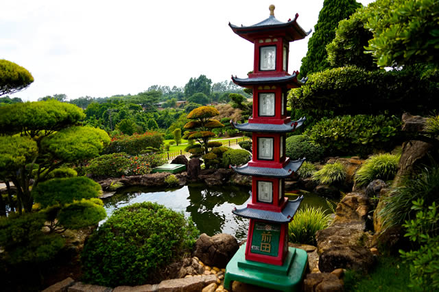 Observação de Aves: Um Paraíso para Amantes da Natureza - inspiração 1