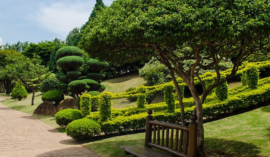 Eventos Especiais: Festivais e Celebrações ao Longo do Ano - inspiração 2