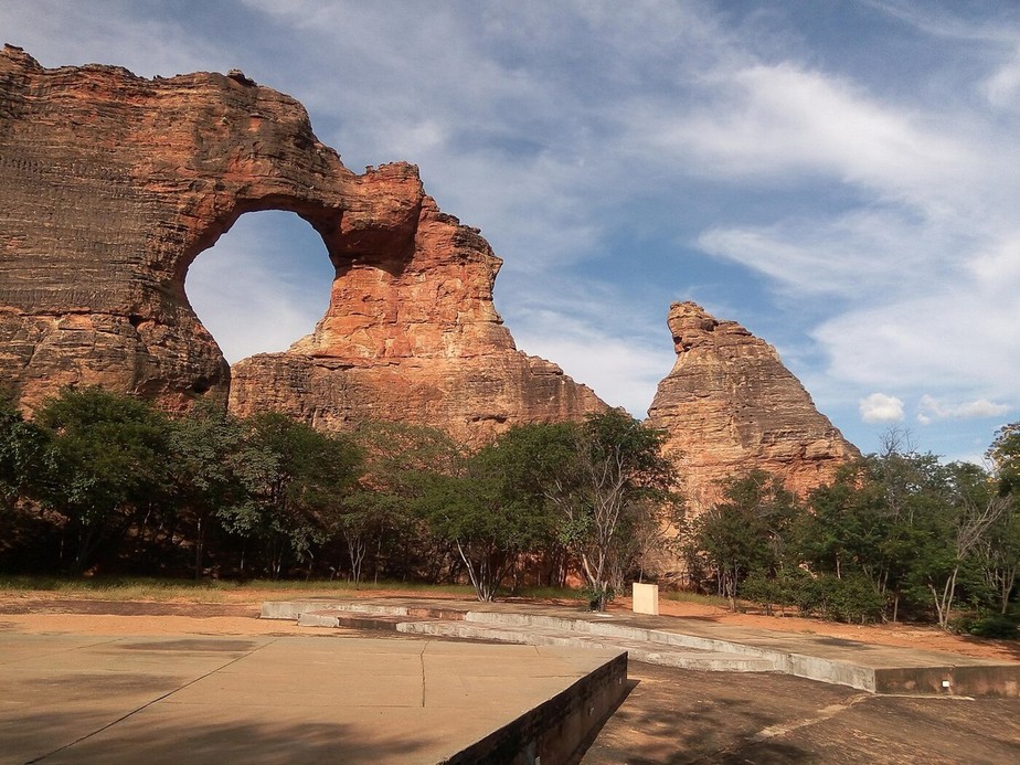 A Rica Biodiversidade: Um Encontro com a Fauna e Flora do Cerrado - inspiração 2