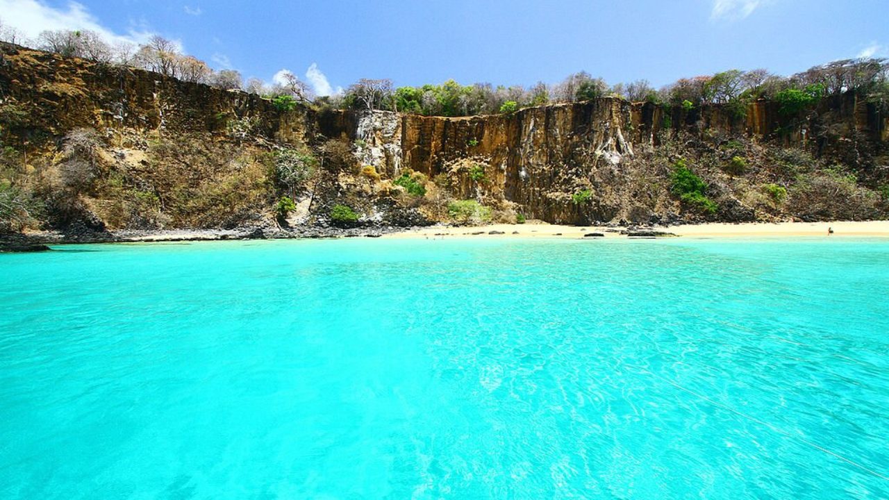 Descubra as Piscinas Naturais Mais Incríveis de Maragogi e Porto de Galinhas