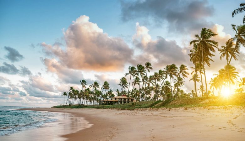 As Melhores Piscinas Naturais da Bahia para um Mergulho Inesquecível