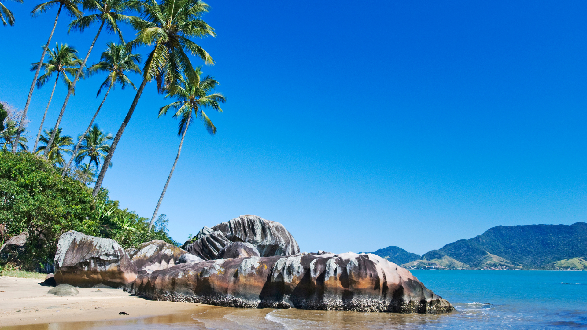 Praia da Baleia: Paz e Natureza Preservada em São Sebastião - inspiração 1