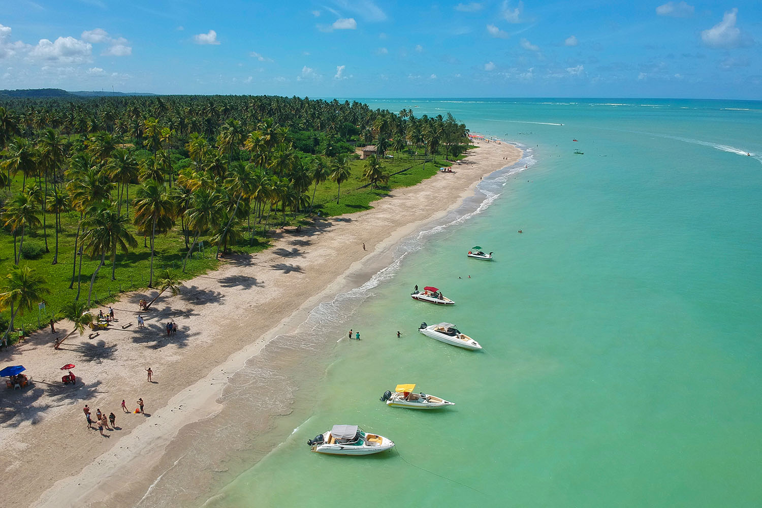 Maceió com Crianças: Praias Calmas e Atividades para a Família